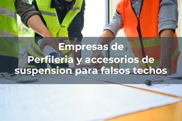 Falsos techos 24 Perfileria y accesorios de suspension para falsos techos
