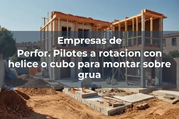 Pilotes prefabricados in situ 6 Perfor. Pilotes a rotacion con helice o cubo para montar sobre grua