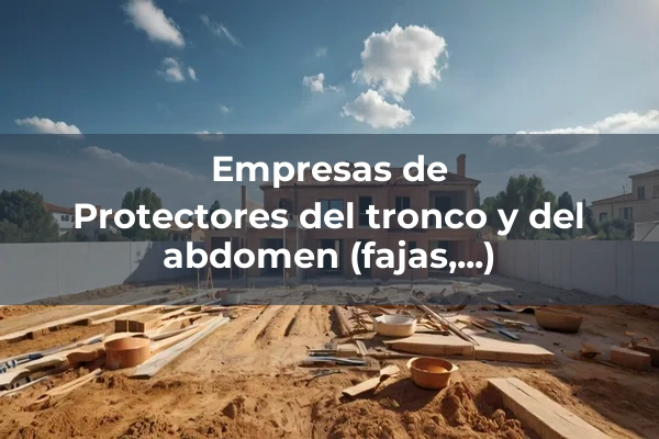 Protecciones individuales 9 Protectores del tronco y del abdomen (fajas,...)