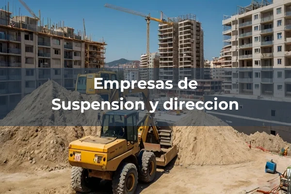 Repuestos de vehículos 6 Suspension y direccion