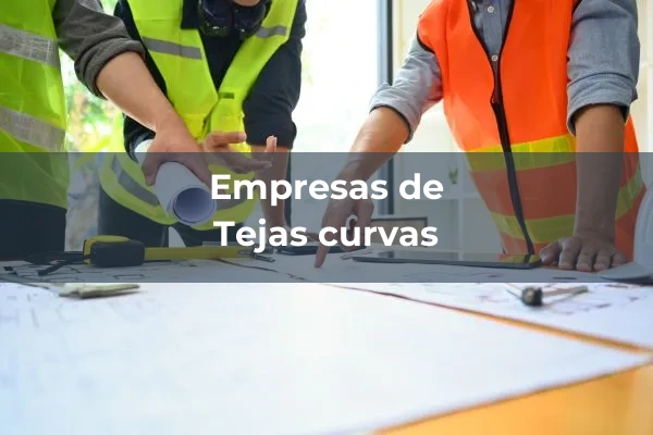 Tejas ceramicas 2 Tejas curvas