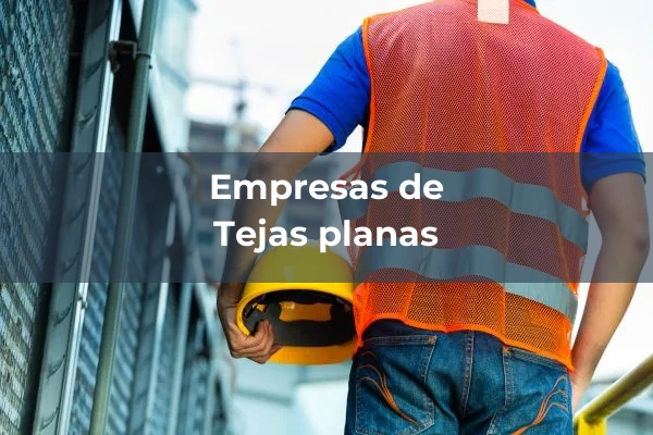 Tejas ceramicas 5 Tejas planas