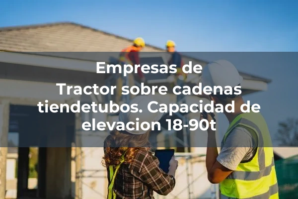 Colocacion y manejo de tubos y canalizaciones 3 Tractor sobre cadenas tiendetubos. Capacidad de elevacion 18-90t