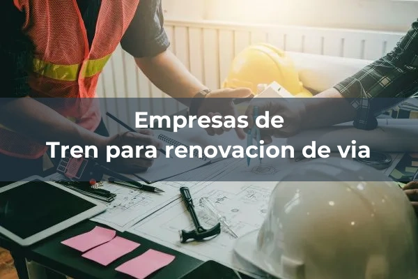 Colocacion de vias 18 Tren para renovacion de via