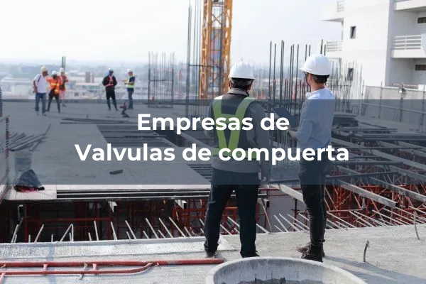 Valvulas de compuerta